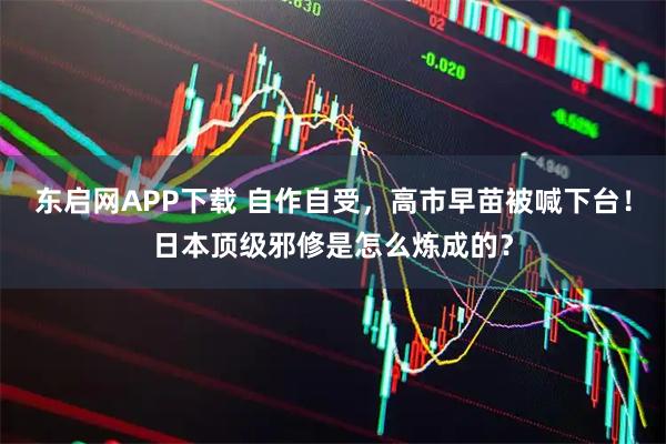 东启网APP下载 自作自受,高市早苗被喊下台!日本顶级邪修是怎么炼成的?