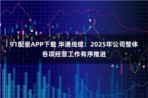 91配资APP下载 华通线缆：2025年公司整体各项经营工作有序推进